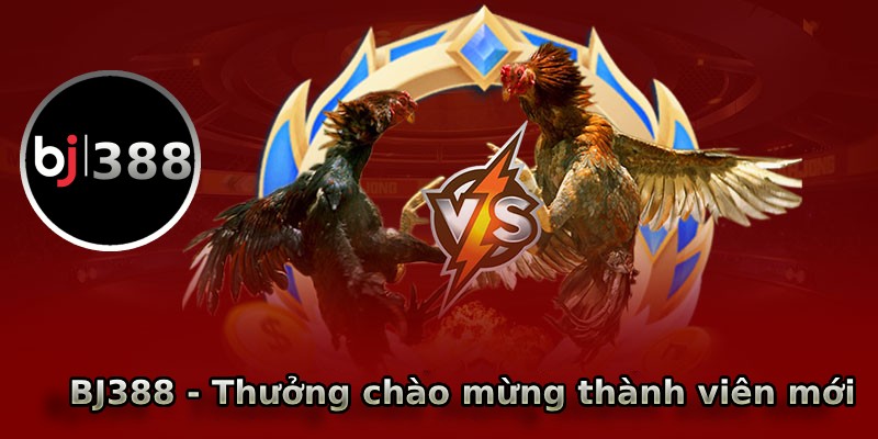 Thưởng chào mừng thành viên mới